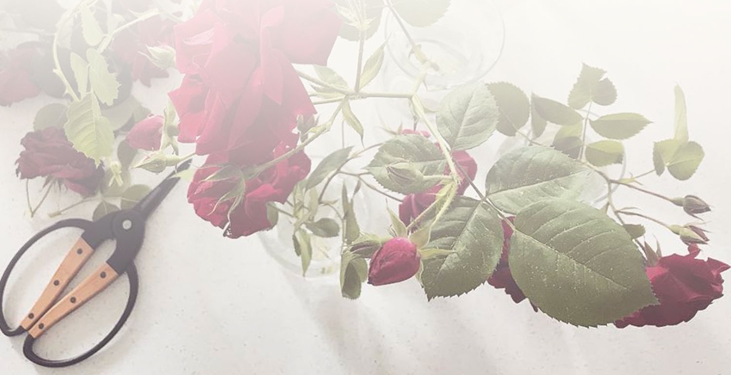 Invited | The Art of Gathering | A Live Home Workshop with Jeanne Oliver