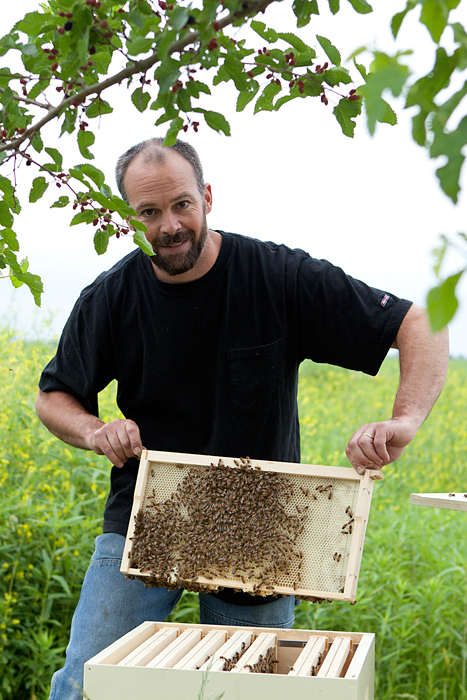 The Basics of Beekeeping {begins on Monday}