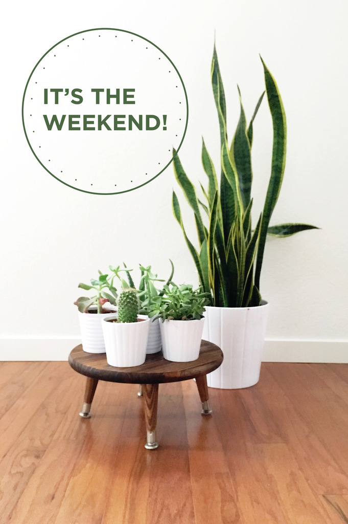 It’s The Weekend | Mid Century Plant Stand