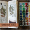 Woodland Girls {and other natural curiosities}