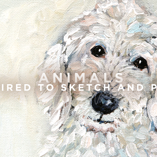 Animals | Sketch and Paint with Cathy Walters