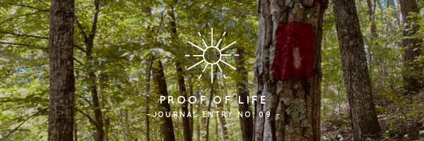 Proof of Life | Journal Entry No. 09