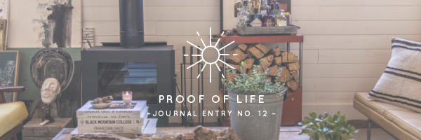 Proof of Life | Journal Entry No. 12