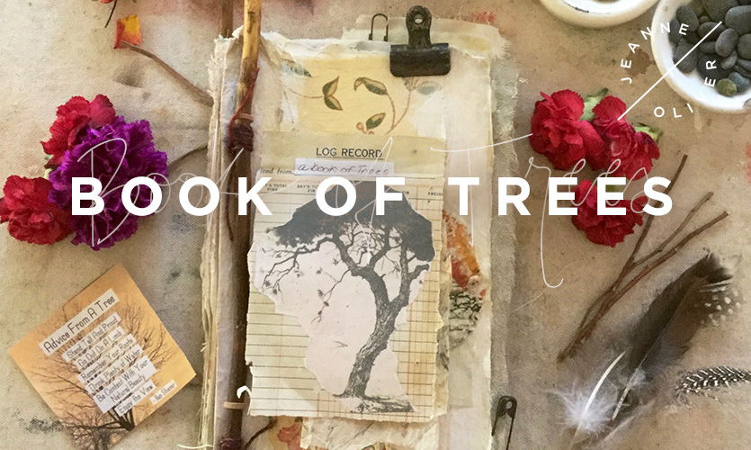 Book of Trees with Roxanne Evans Stout