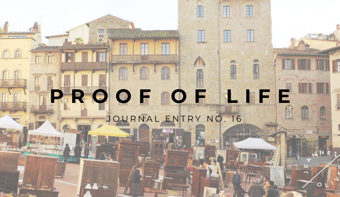 Proof of Life | Journal Entry No. 16