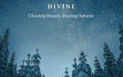 Oh Night Divine | How to Chase Beauty During Advent